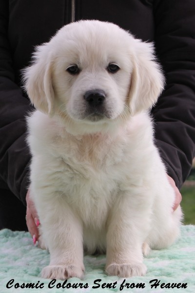 Mrs Pink 7 Weeks_1.jpg